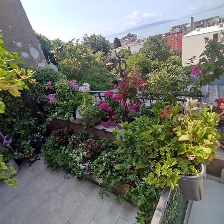 Apartman Bella Vista Rijeka Leilighet Eksteriør bilde