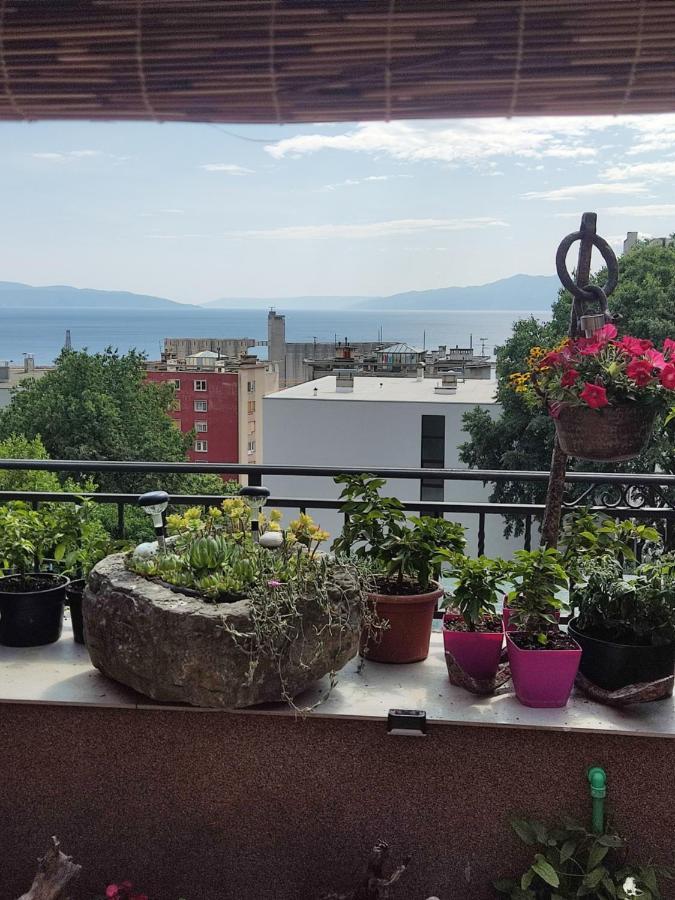 Apartman Bella Vista Rijeka Leilighet Eksteriør bilde