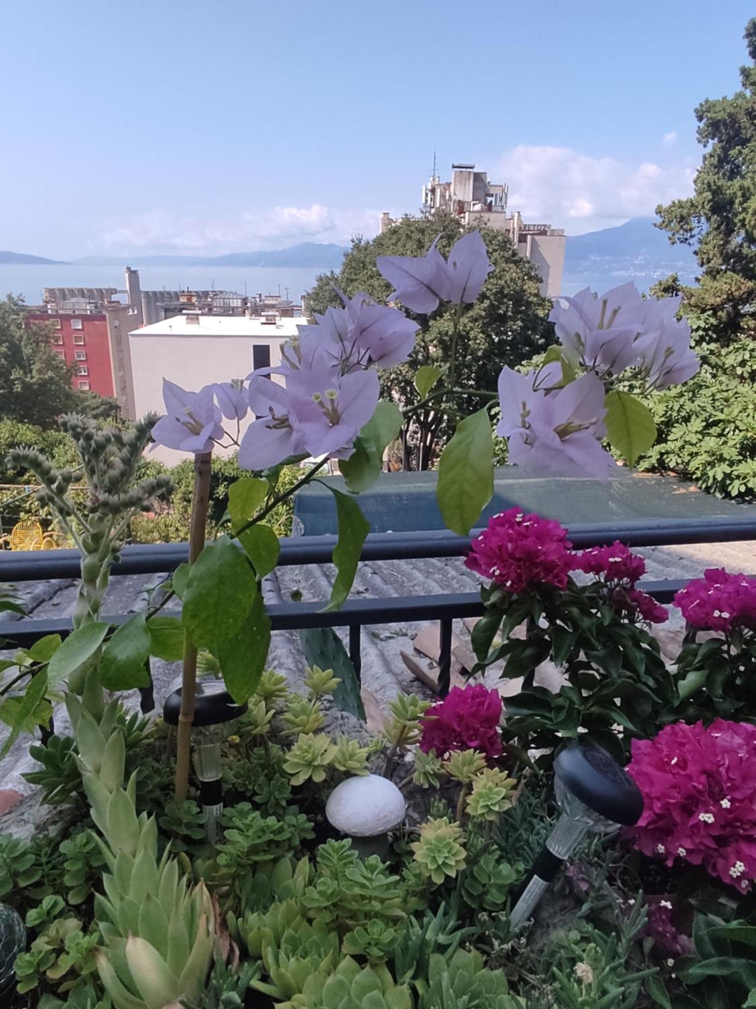 Apartman Bella Vista Rijeka Leilighet Eksteriør bilde