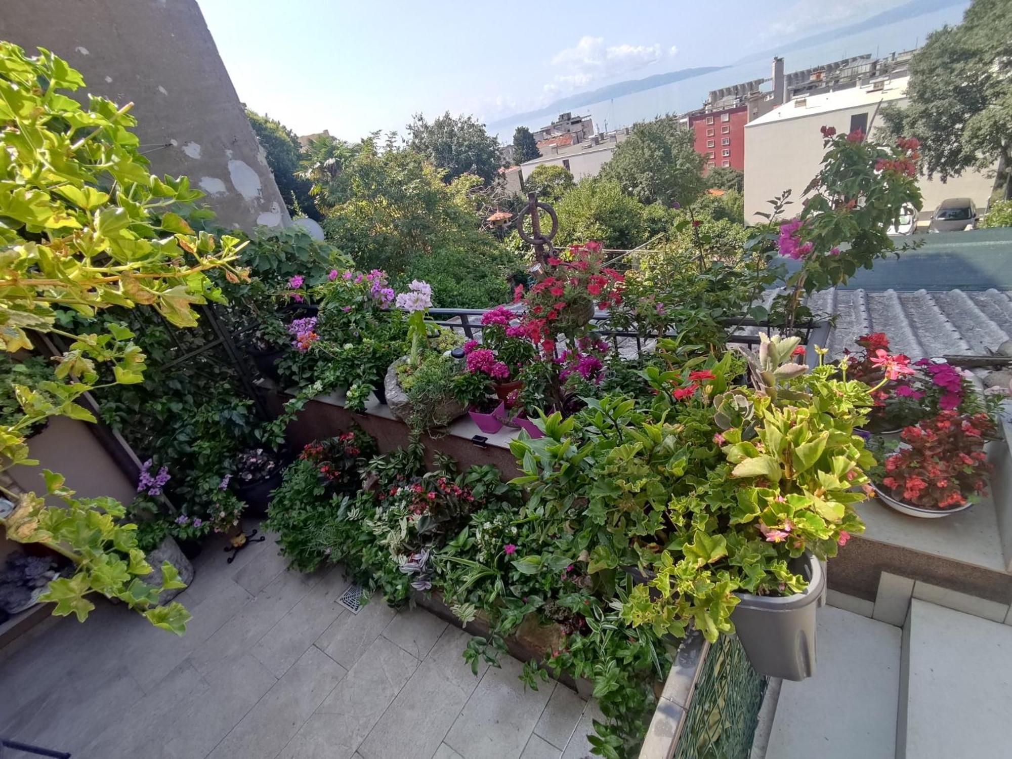 Apartman Bella Vista Rijeka Leilighet Eksteriør bilde