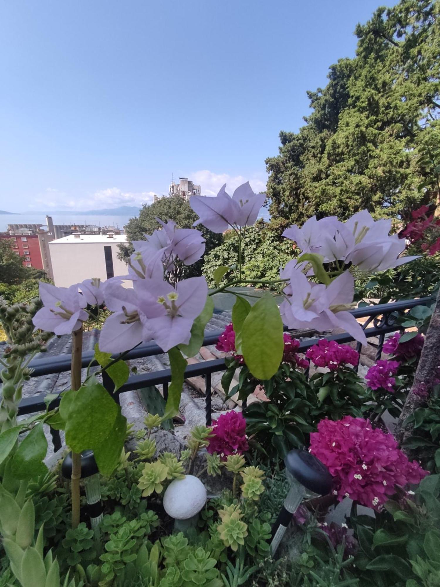 Apartman Bella Vista Rijeka Leilighet Eksteriør bilde